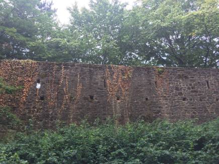 Roman Wall in Germany